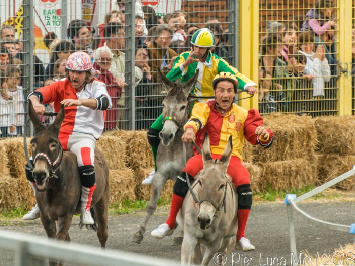 Palio dei micci